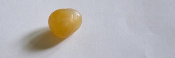 Fruit Snacks