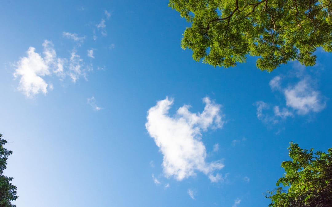 Getting The World to Tilt